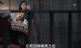 山风姐姐爆料视频大全集,揭秘幕后真相与精彩瞬间